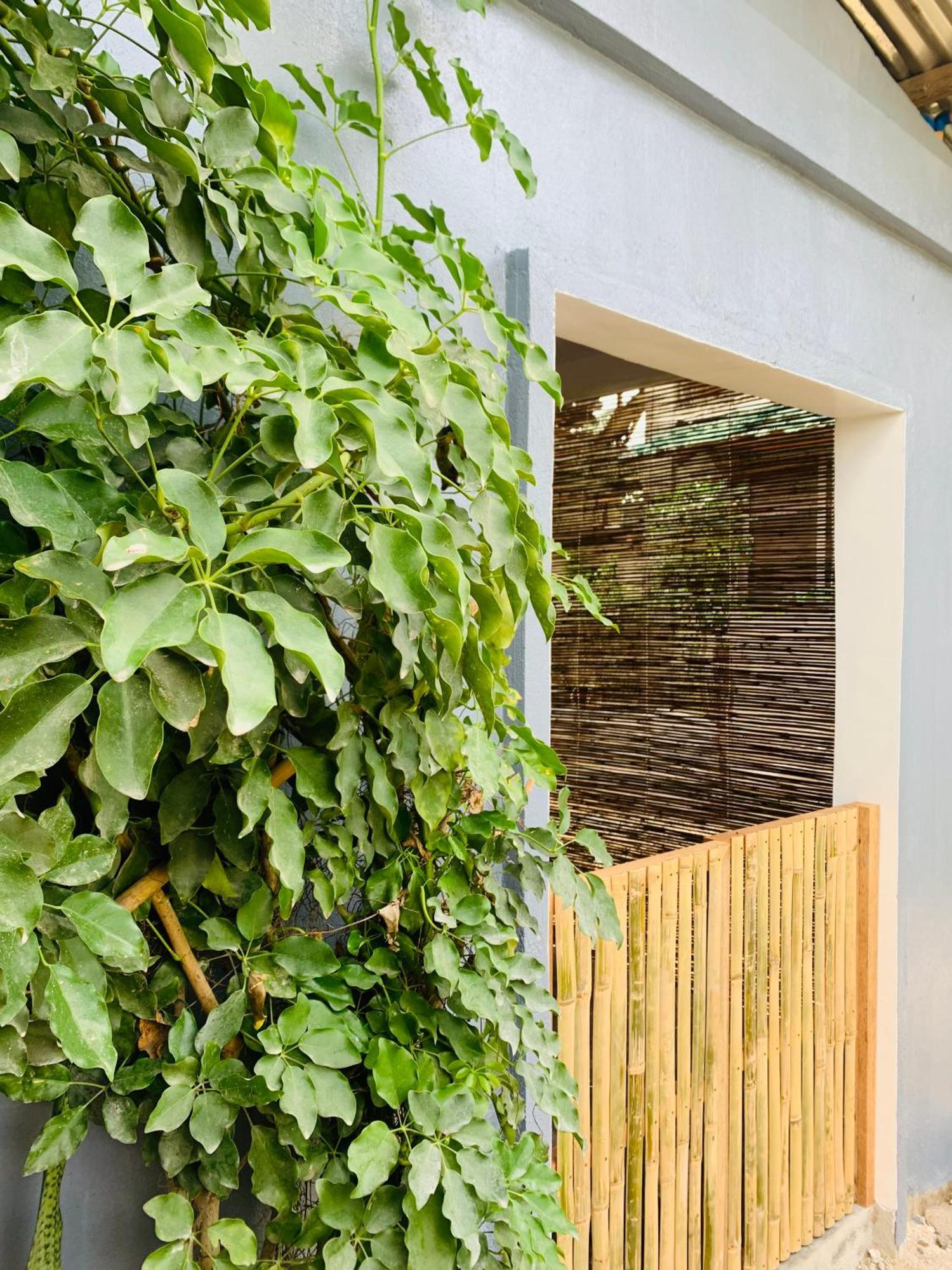 Jaydy Hostel General Luna  Ngoại thất bức ảnh